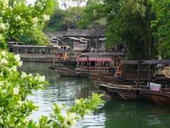 -乌镇西栅景区