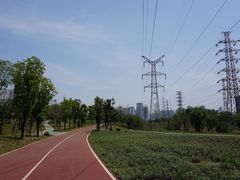 -白鹭湾湿地公园