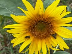 -瀛海足球主题公园