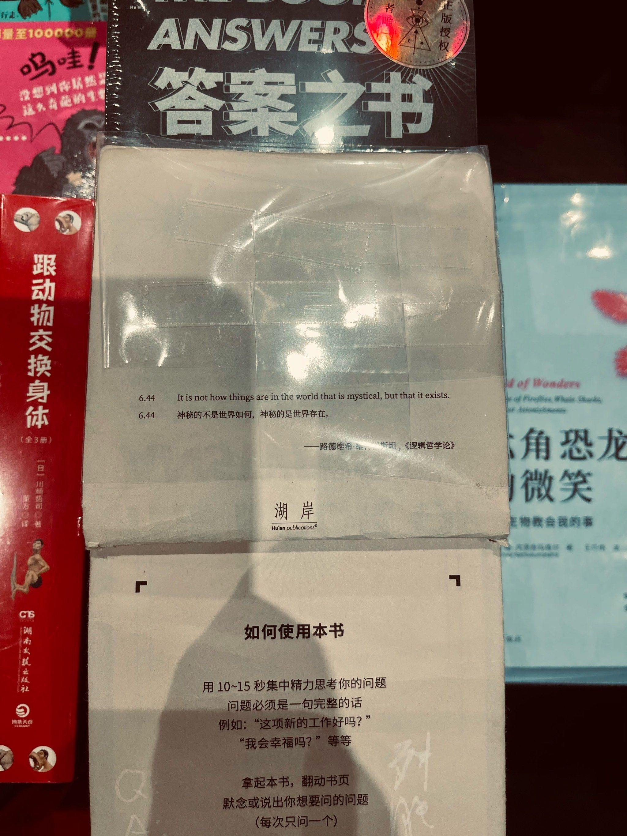 维特根斯坦 
《答案之书》 @点评武汉小队长 @点小艺 

#0元