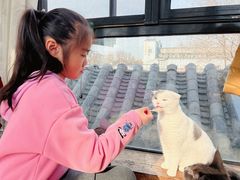 -猫小院猫主题餐厅(南锣旗舰店)