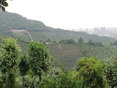 -杭州半山国家森林公园