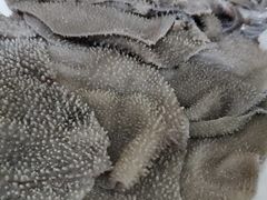 -伟记牛肉(金鸿公路店)