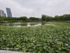 -南翔镇银翔湖公园