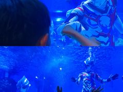-顺德南宏海立方海洋公园