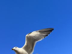 -星海广场