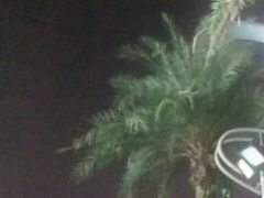 -星巴克(南宁民歌湖店)