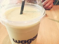 -Wagas沃歌斯(大学路店)