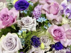 -三圣花乡旅游区