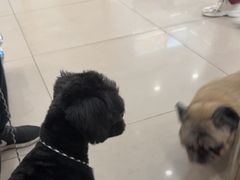 -艾贝尔宠物医院 ·中兽医·宠保定点(北门桥店)