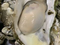-蚝得喜海鲜(东城店)