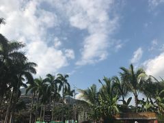 -亚龙湾国际玫瑰谷