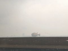 -长顺河豚馆(江洲东路)