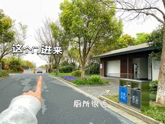 -贡湖湾湿地公园