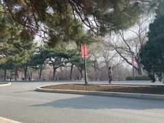 -北陵公园