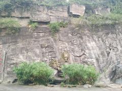 -铁山坪森林公园