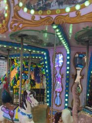 -卡通尼·Safari非洲探索乐园·生日会(金桥国际商业广场店)