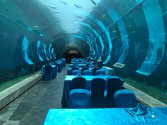 -海棠湾洲际-涛·海底餐厅·美人鱼·自助餐·海底隧道