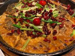 -老板恋上鱼(印象城店)