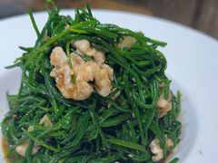 -老阿妈蒙古村·蒙古包·草原文化·歌舞表演(老君堂店)