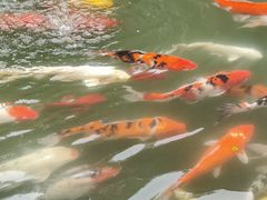 -车溪民俗旅游区
