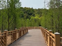 -神光山国家森林公园