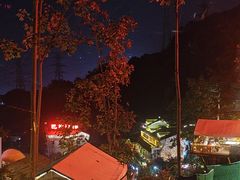 -巴倒烫陆派火锅山庄(南山总店)