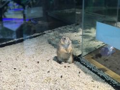 -未来动物城主题公园(正弘城店)