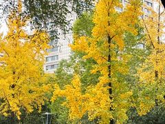 -唐城墙遗址公园