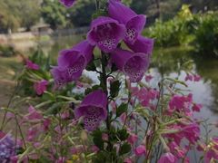 -人民公园(罗湖区)