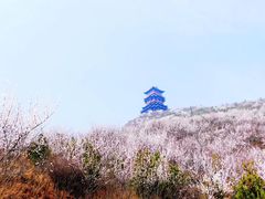 -定都峰