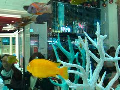 -崇光百货(铜锣湾店)