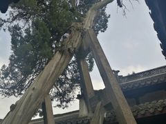 -太平天国侍王府