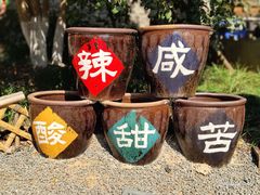 -茅山东方盐湖城景区