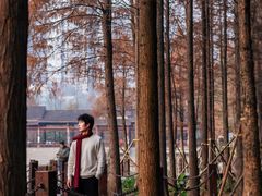 -重庆彩云湖湿地公园