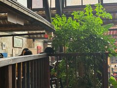 -東茅街茶馆