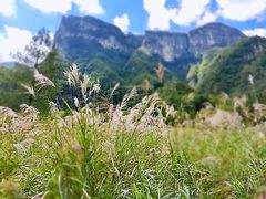 -鹿院坪生态旅游景区