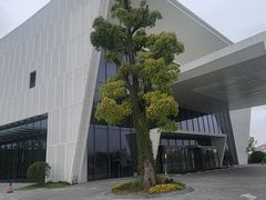 -东方美谷JW万豪酒店·The lounge大堂吧
