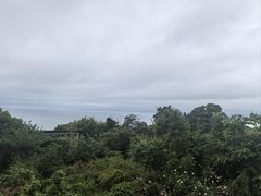 -滨千鸟之汤 海舟