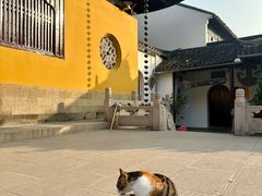 -西园戒幢律寺