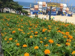 -连岛景区大沙湾