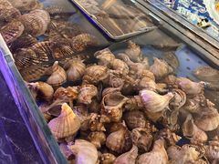 -大连湾旭日·家宴·海肠捞饭(马栏广场店)