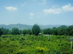 -那家山城(樱桃园店)