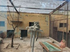 -青藏高原野生动物园