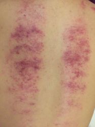 -佐登妮丝美容SPA生活馆