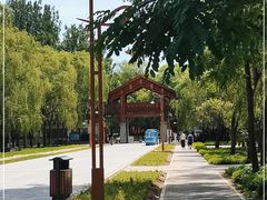 -野鸭湖国家湿地公园