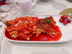 松鼠桂鱼-松鹤楼(山塘街店)