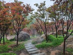 -广州市帽峰山景区