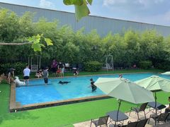 -汪说喵讲宠物乐园宠物酒店(红星美凯龙店)