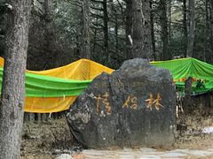 -康定跑马山风景区